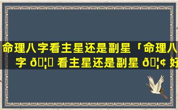 命理八字看主星还是副星「命理八字 🦄 看主星还是副星 🦢 好」